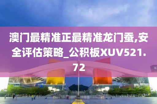 澳门最精准正最精准龙门蚕,安全评估策略_公积板XUV521.72