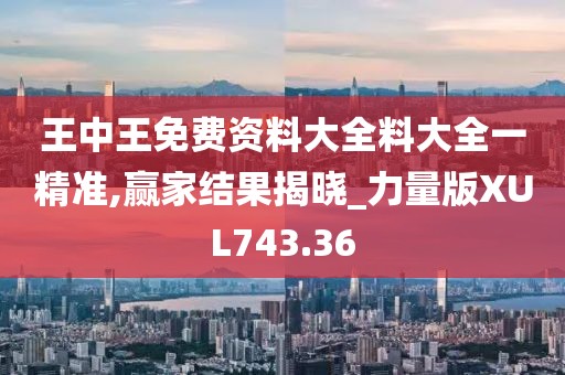 王中王免费资料大全料大全一精准,赢家结果揭晓_力量版XUL743.36