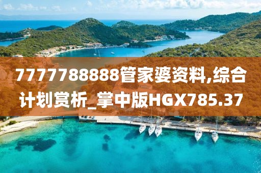7777788888管家婆资料,综合计划赏析_掌中版HGX785.37