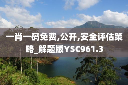 一肖一码免费,公开,安全评估策略_解题版YSC961.3