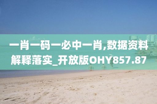 一肖一码一必中一肖,数据资料解释落实_开放版OHY857.87