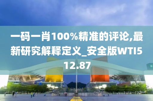 一码一肖100%精准的评论,最新研究解释定义_安全版WTI512.87