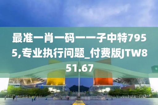 最准一肖一码一一子中特7955,专业执行问题_付费版JTW851.67