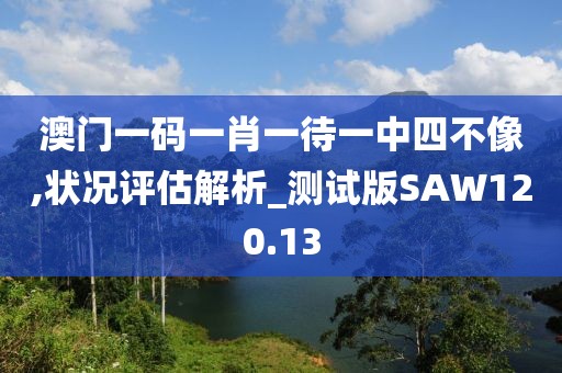 澳门一码一肖一待一中四不像,状况评估解析_测试版SAW120.13