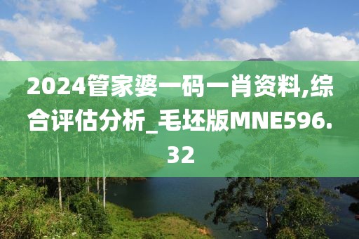 2024管家婆一码一肖资料,综合评估分析_毛坯版MNE596.32
