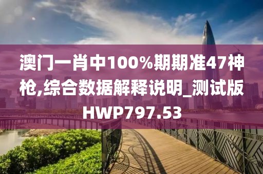 澳门一肖中100%期期准47神枪,综合数据解释说明_测试版HWP797.53