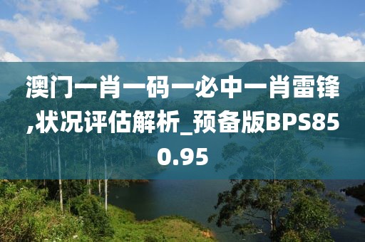 澳门一肖一码一必中一肖雷锋,状况评估解析_预备版BPS850.95