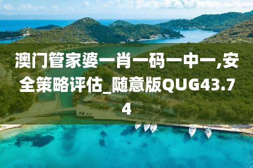 澳门管家婆一肖一码一中一,安全策略评估_随意版QUG43.74
