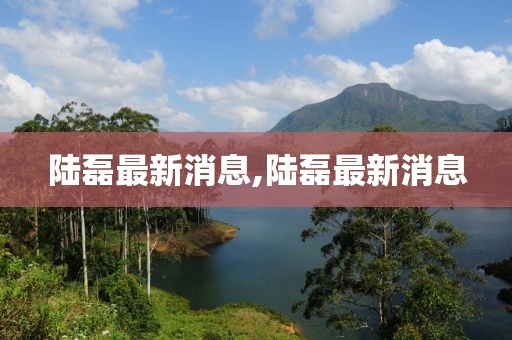 陆磊最新消息,陆磊最新消息
