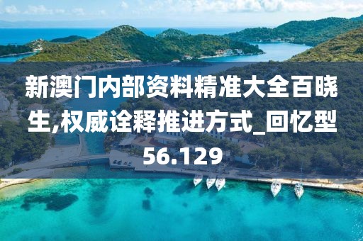 新澳门内部资料精准大全百晓生,权威诠释推进方式_回忆型56.129