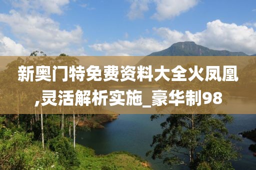 新奥门特免费资料大全火凤凰,灵活解析实施_豪华制98