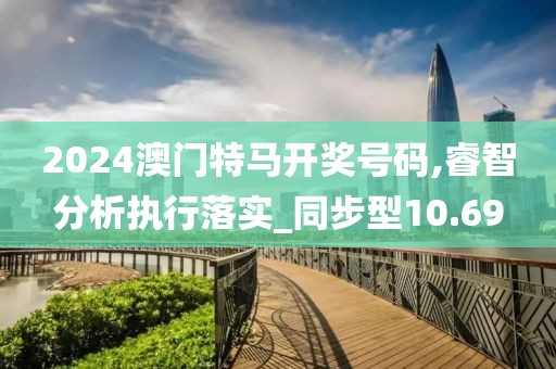 2024澳门特马开奖号码,睿智分析执行落实_同步型10.69