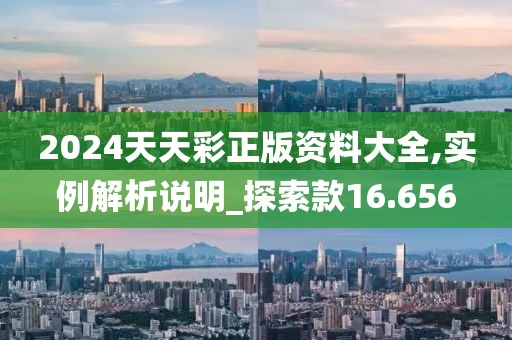 2024天天彩正版资料大全,实例解析说明_探索款16.656
