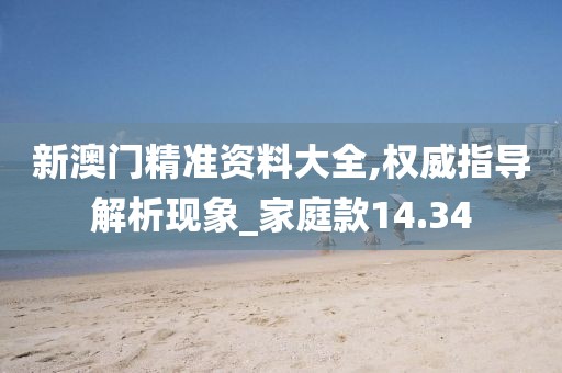 新澳门精准资料大全,权威指导解析现象_家庭款14.34