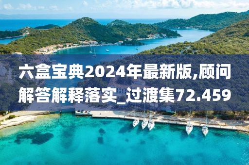 六盒宝典2024年最新版,顾问解答解释落实_过渡集72.459