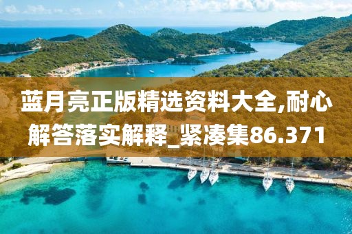 蓝月亮正版精选资料大全,耐心解答落实解释_紧凑集86.371