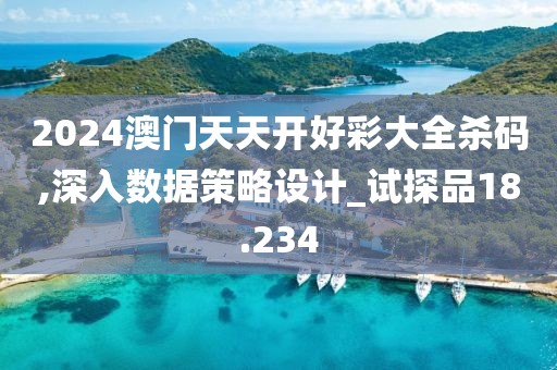 2024澳门天天开好彩大全杀码,深入数据策略设计_试探品18.234