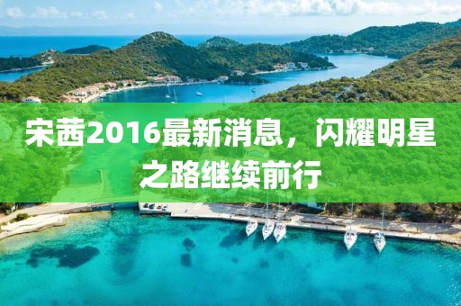 宋茜2016最新消息，闪耀明星之路继续前行