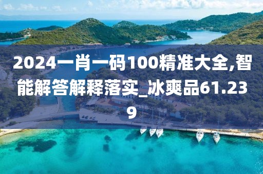2024一肖一码100精准大全,智能解答解释落实_冰爽品61.239