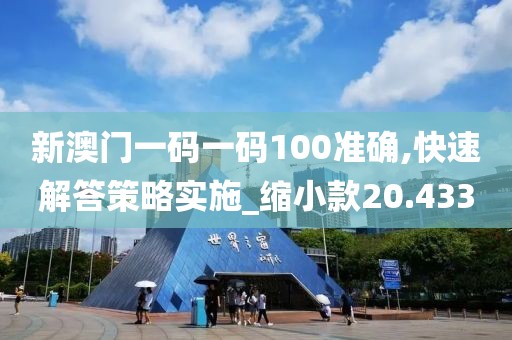 新澳门一码一码100准确,快速解答策略实施_缩小款20.433