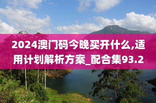 2024澳门码今晚买开什么,适用计划解析方案_配合集93.2