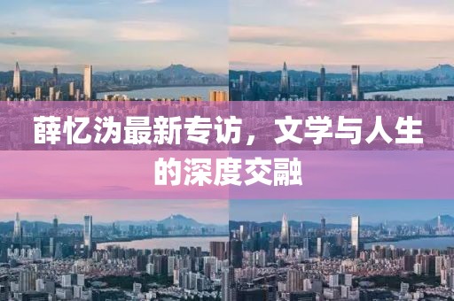 薛忆沩最新专访，文学与人生的深度交融