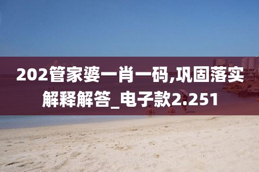202管家婆一肖一码,巩固落实解释解答_电子款2.251