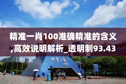 精准一肖100准确精准的含义,高效说明解析_透明制93.43