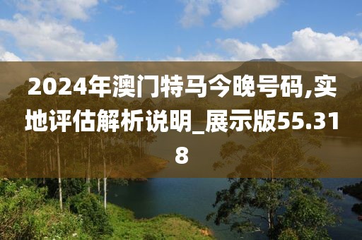 2024年澳门特马今晚号码,实地评估解析说明_展示版55.318