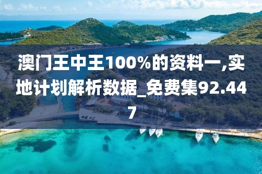 澳门王中王100%的资料一,实地计划解析数据_免费集92.447