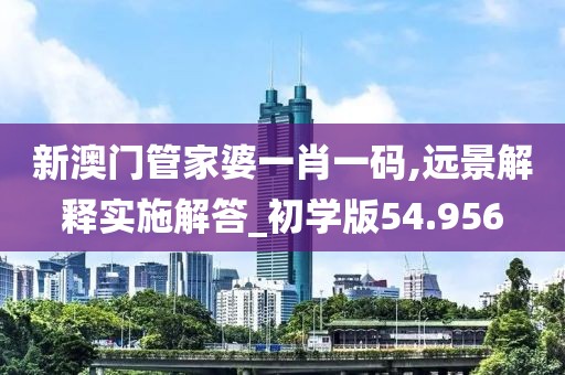 新澳门管家婆一肖一码,远景解释实施解答_初学版54.956