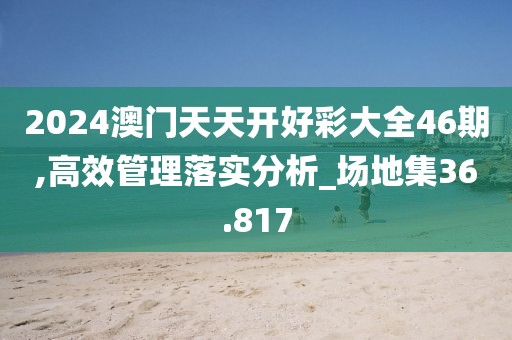 2024澳门天天开好彩大全46期,高效管理落实分析_场地集36.817