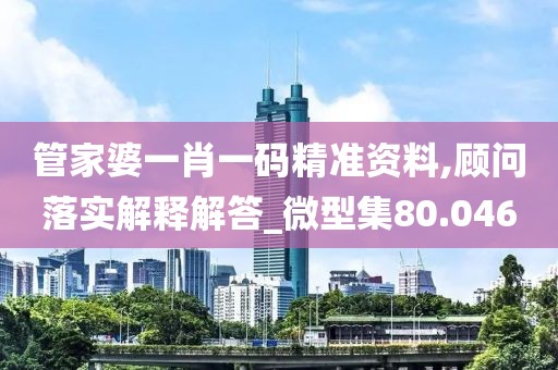 管家婆一肖一码精准资料,顾问落实解释解答_微型集80.046
