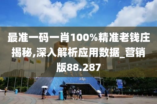 最准一码一肖100%精准老钱庄揭秘,深入解析应用数据_营销版88.287