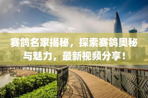 赛鸽名家揭秘，探索赛鸽奥秘与魅力，最新视频分享！