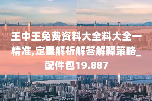 王中王免费资料大全料大全一精准,定量解析解答解释策略_配件包19.887