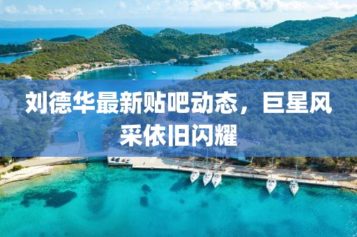 刘德华最新贴吧动态，巨星风采依旧闪耀