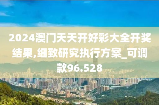 2024澳门天天开好彩大全开奖结果,细致研究执行方案_可调款96.528