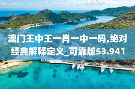 澳门王中王一肖一中一码,绝对经典解释定义_可靠版53.941