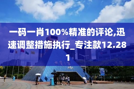 一码一肖100%精准的评论,迅速调整措施执行_专注款12.281