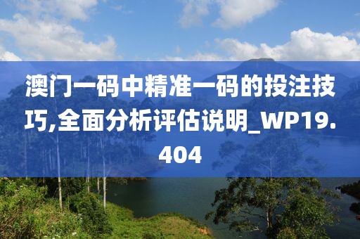澳门一码中精准一码的投注技巧,全面分析评估说明_WP19.404