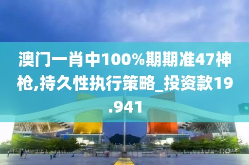 澳门一肖中100%期期准47神枪,持久性执行策略_投资款19.941