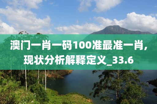 澳门一肖一码100准最准一肖,现状分析解释定义_33.6