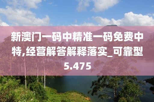 新澳门一码中精准一码免费中特,经营解答解释落实_可靠型5.475