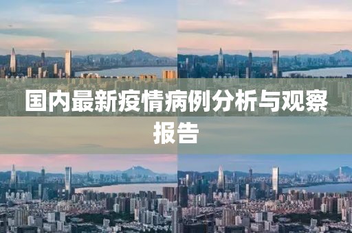 国内最新疫情病例分析与观察报告
