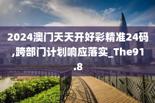 2024澳门天天开好彩精准24码,跨部门计划响应落实_The91.8