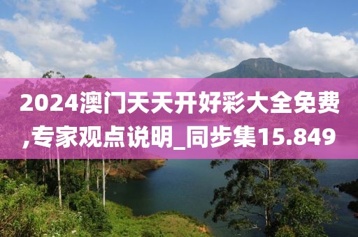 2024澳门天天开好彩大全免费,专家观点说明_同步集15.849
