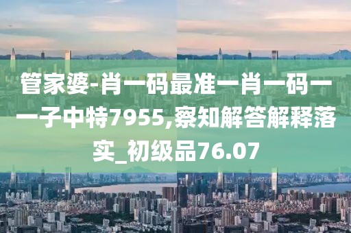 管家婆-肖一码最准一肖一码一一子中特7955,察知解答解释落实_初级品76.07