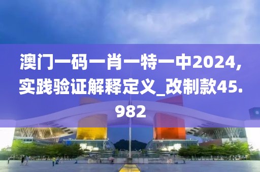 澳门一码一肖一特一中2024,实践验证解释定义_改制款45.982