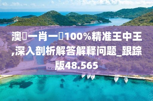澳門一肖一碼100%精准王中王,深入剖析解答解释问题_跟踪版48.565